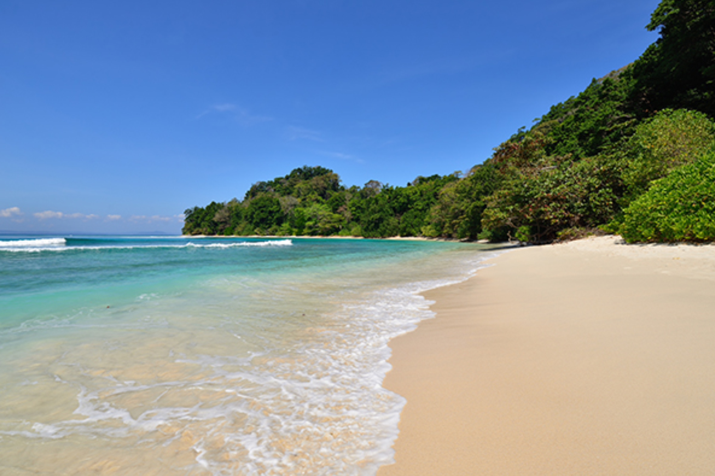 m_image4